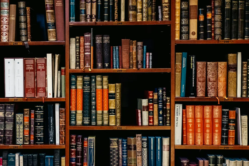 Biblioteca universitaria y jurídica con tratados y áreas de investigación